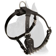Great Dane Dog Leather Harness with spikes