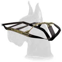 Pulling Nylon Great Dane Harness