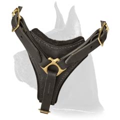 Adjustable Leather Harness