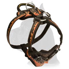 Painted-Flames-Leather-Harness