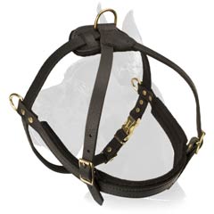Safe Leather Harness