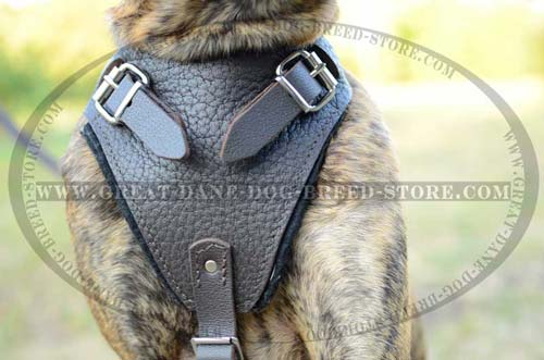 Soft Leather Harness