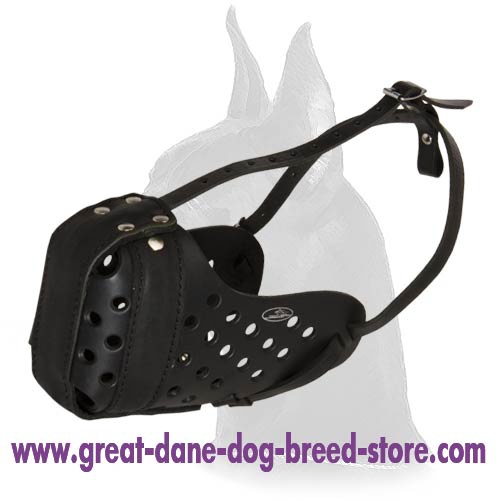 Attack/Agitation Leather Muzzle for Great Dane
