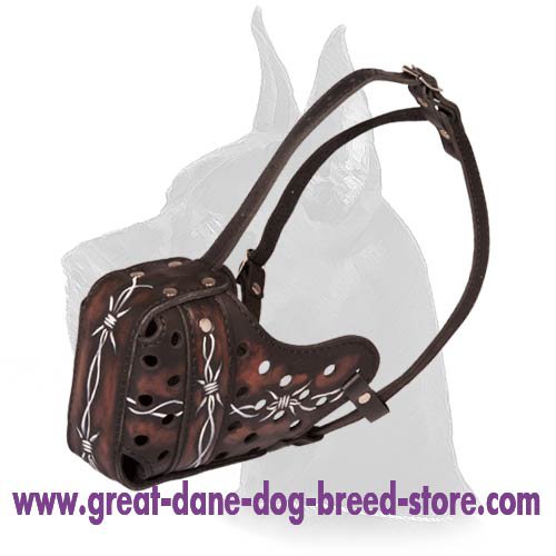 Leather Muzzle with Barbed Wire Painting for Great Dane