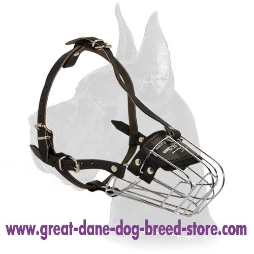 Wire Basket Muzzle for Great Dane