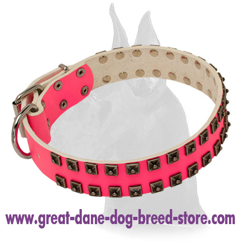 Glamour Design Pink Leather Collar with Studs