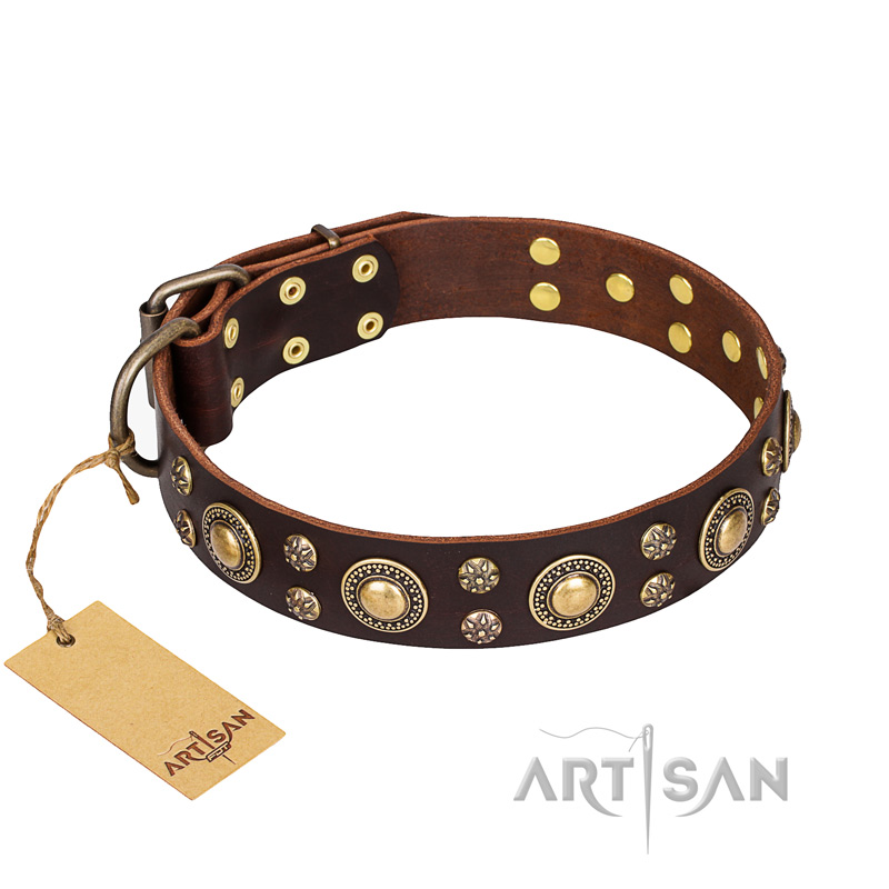 'Flower Melody' FDT Artisan Brown Leather Dog Collar with Mixed Studs for Great Dane Walking - Click Image to Close
