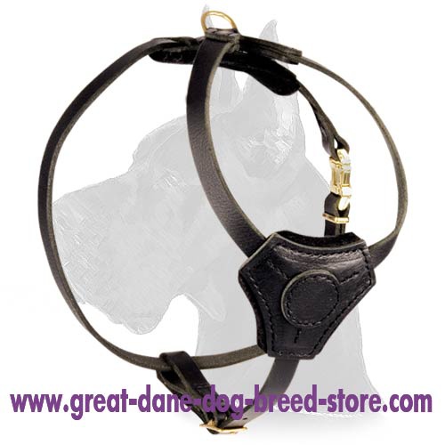 Top notch Leather Harness for Great Dane puppy