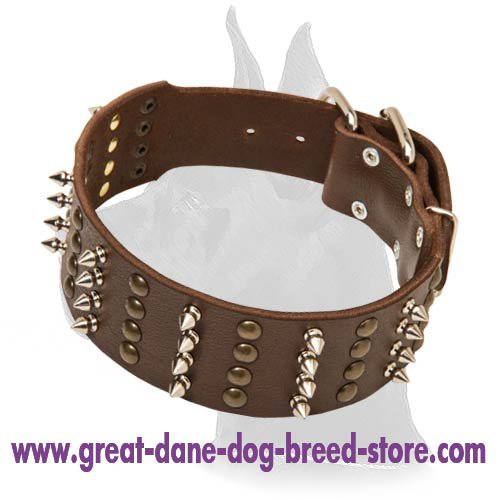 Wide Spiked and Studded Leather Collar for Great Dane