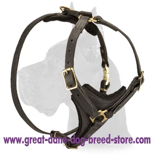 Easy Walk Leather Harness for Great Dane