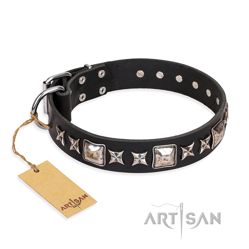 'Space Walk' FDT Artisan Durable Black Leather Great Dane Collar with Beautiful Adornments