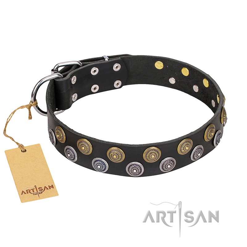 "Romantic Breeze" FDT Artisan Black Leather Great Dane Collar with Riveted Circles