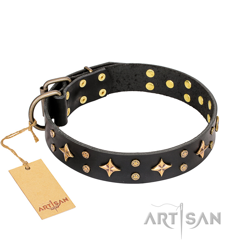 'A La Mode' FDT Artisan Handcrafted Black Leather Great Dane Collar