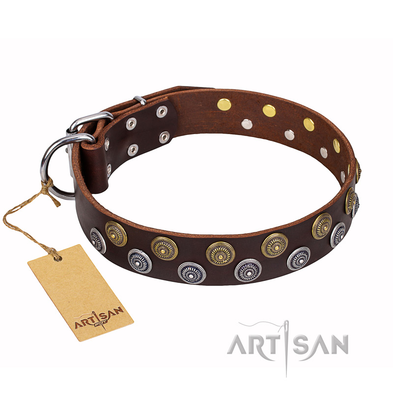 'Strong Shields' FDT Artisan Brown Leather Great Dane Collar with Mix of Brass and Chrome Plated Studs