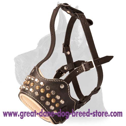 Royal Pyramids and Studs Leather Muzzle for Great Dane