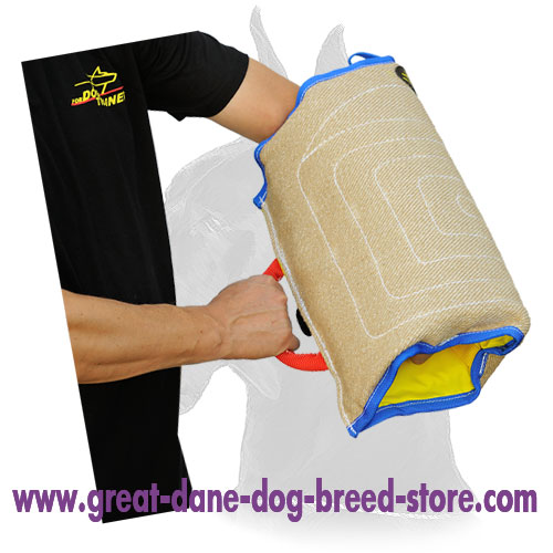 Excellent Training Great Dane Puppies Bite Sleeve Made of Jute