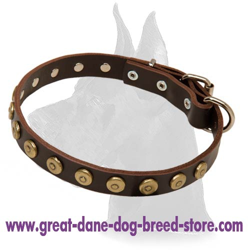 Gorgeous Leather Collar with Doted Circles for Great Dane