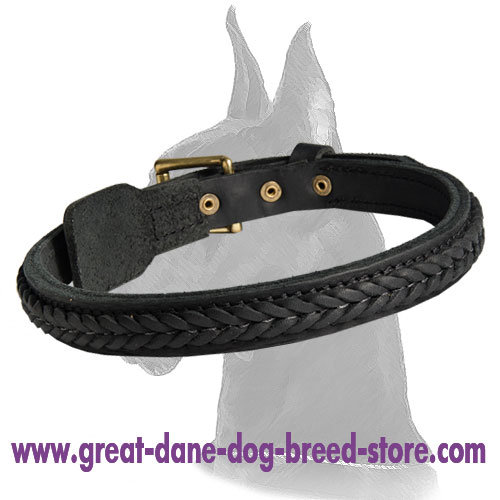 Elegant Braided Leather Collar for Great Dane