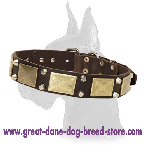 Wide Leather Collar with Nickel Pyramids for Great Dane