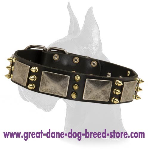 Best collar for deals great dane
