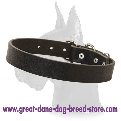 Simple Design Leather Collar for Great Dane