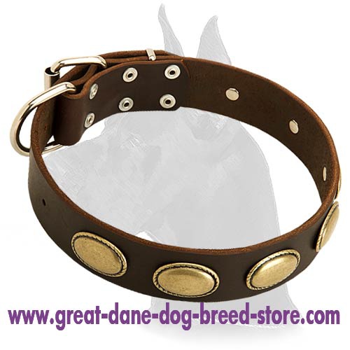 High Quality Leather Collar for Great Dane