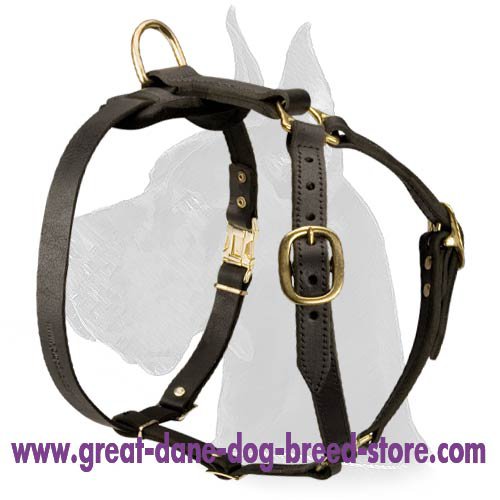 Luxury Handcrafted Leather Harness for Great Dane