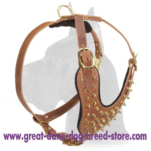 Spiked Leather Harness for Great Dane