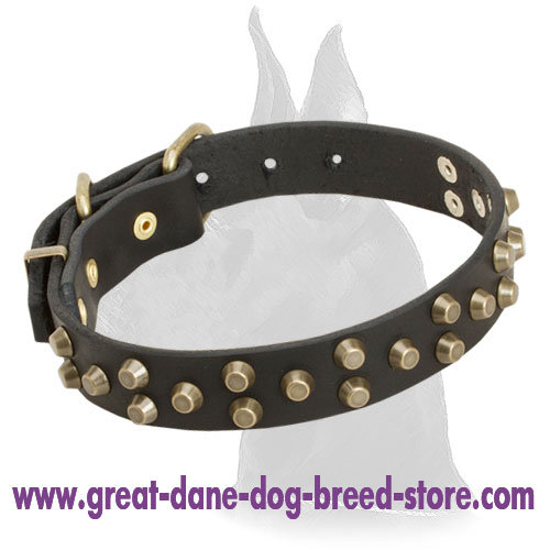 Leather Great Dane Collar with Attractive Design