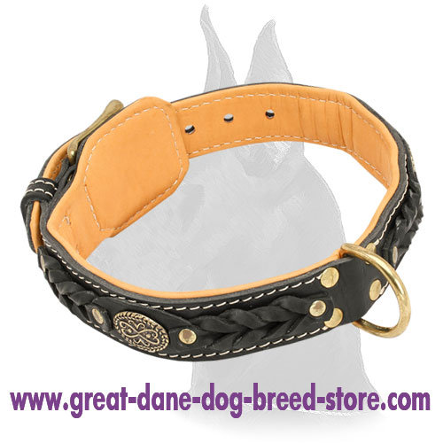 Decorated Leather Great Dane Collar for Basic Training
