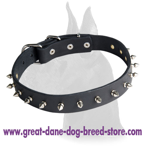 Leather Spiked Great Dane Collar