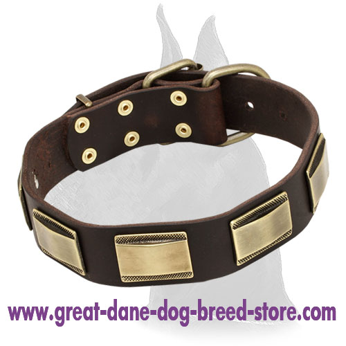 Great Dane Handcrafted Leather Dog Collar With Vintage Massive Plates