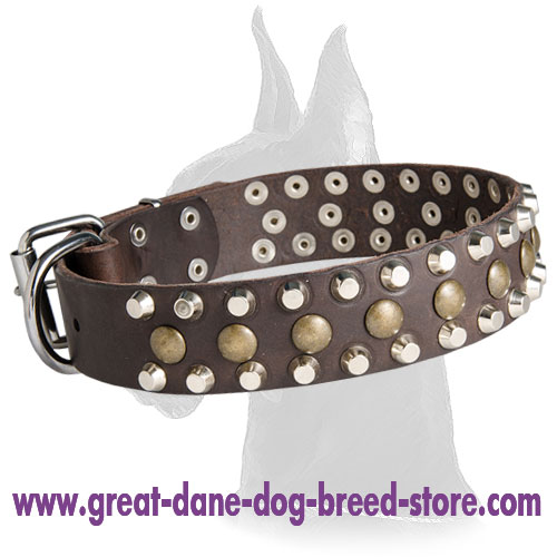 Wide Leather Collar with Studs and Pyramids for Great Dane - Click Image to Close