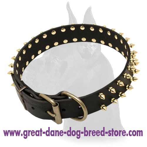 Great Dane Spiked Leather Dog Collar for Walking