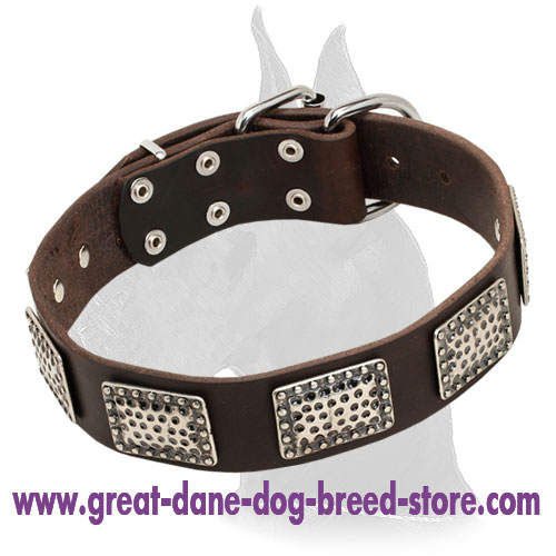 Dog Collar with Nickel Plated Hardware for Great Dane
