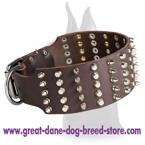 Wide leather collar with spikes and pyramids for Great Dane