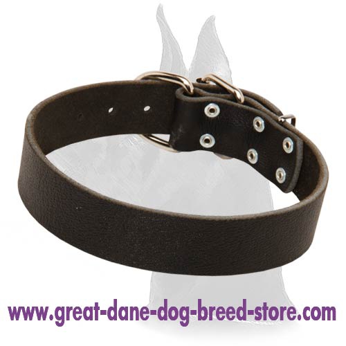 Everyday Leather Collar for Great Dane