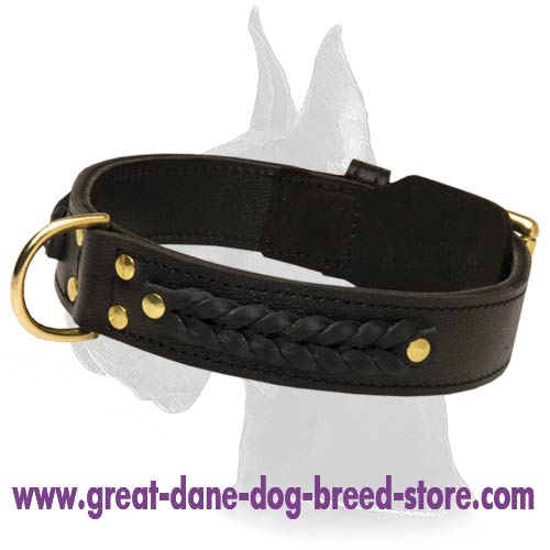 Wide 2 Ply Braided Leather Collar for Great Dane