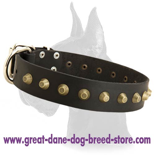 Leather Collar with Gold-like Pyramids for Great Dane