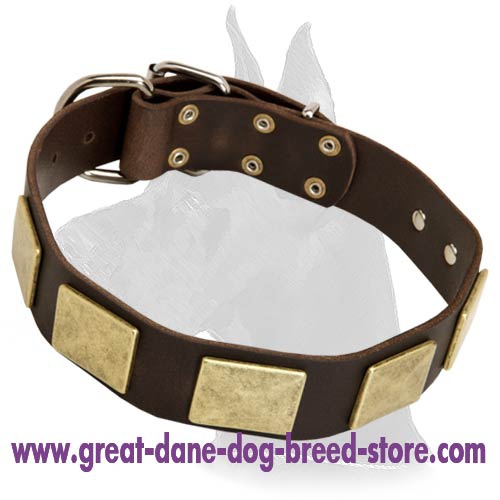 Leather Collar with gold-like plates for Great Dane