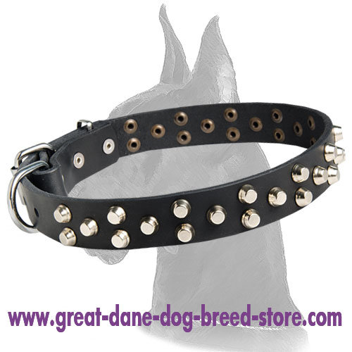 Original Leather Collar with pyramids for Great Dane - Click Image to Close
