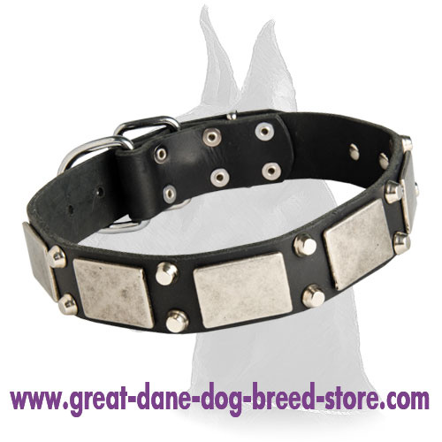 Handcrafted War Leather Collar for Great Dane
