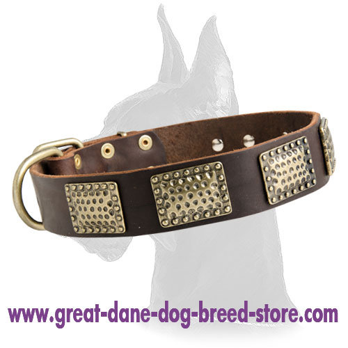 Luxurious Leather Collar for Great Dane
