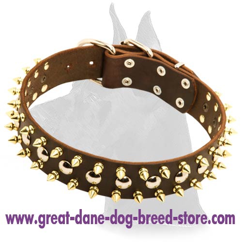 Leather Collar with Spikes and Studs for Great Dane