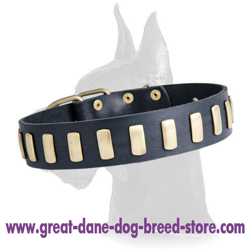 Gorgeous Wide Leather Collar with plates for Great Dane