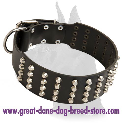 Extra Wide Leather Collar with pyramids for Great Dane