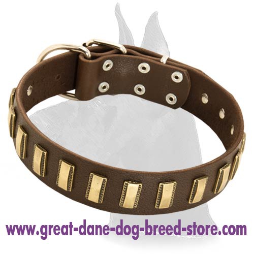 Shining Leather Collar with brass plates