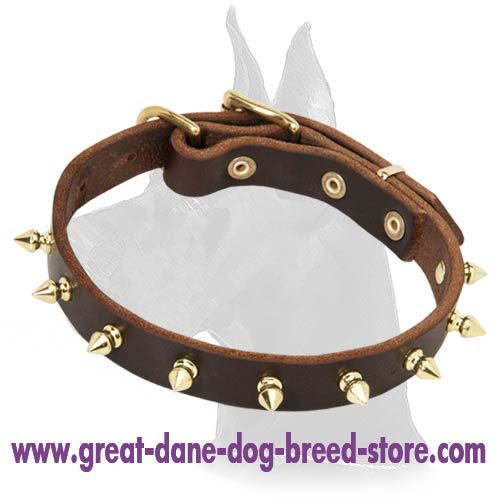Leather Collar with brass spikes for Great Dane