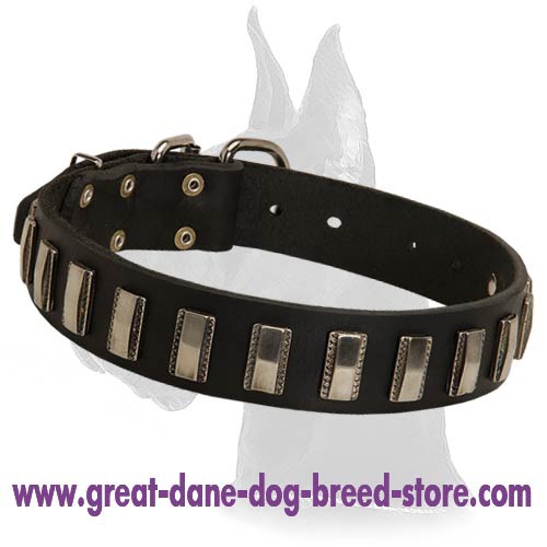 Stunning Leather Collar for Great Dane