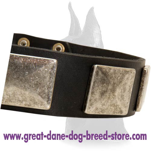 Leather Collar with Vintage Massive Plates for Great Dane